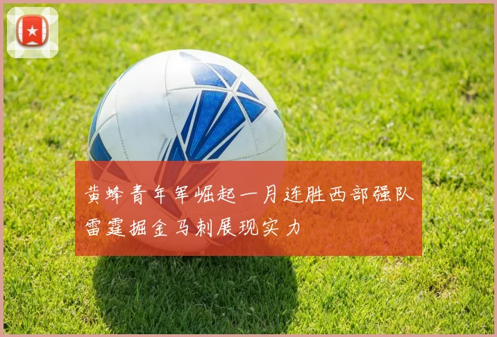 黄蜂青年军崛起一月连胜西部强队雷霆掘金马刺展现实力